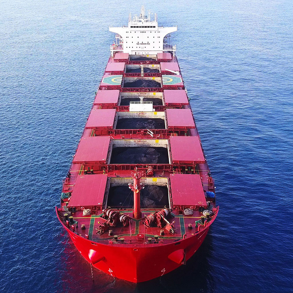 Bulk/Dry cargo ships condition surveys